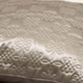 Cushion